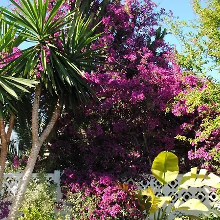 Villa Limasol - Costa *