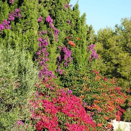 Villa Limasol - Costa